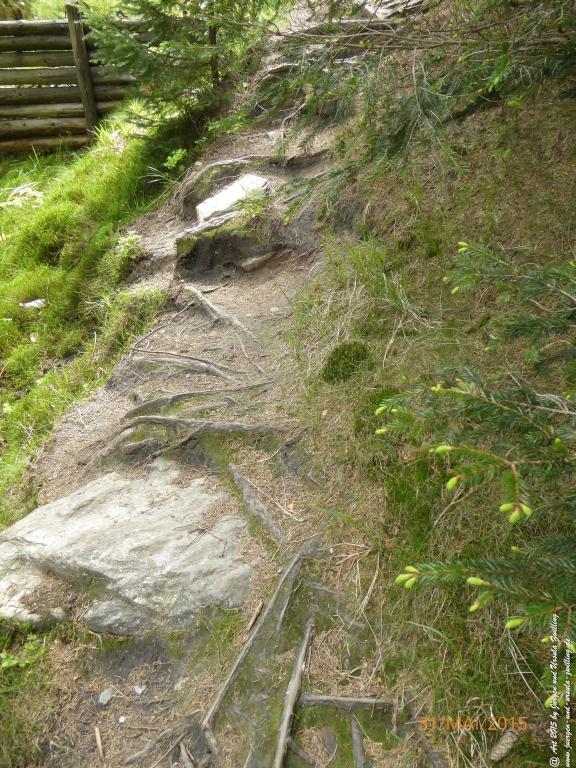 Philosophische Bildwanderung Kowary - Skalny Stół - Karkonosze - Krakonoše – Polen - Tschechien -(Schmiedeberg - Tafelstein - Riesengebirge)
