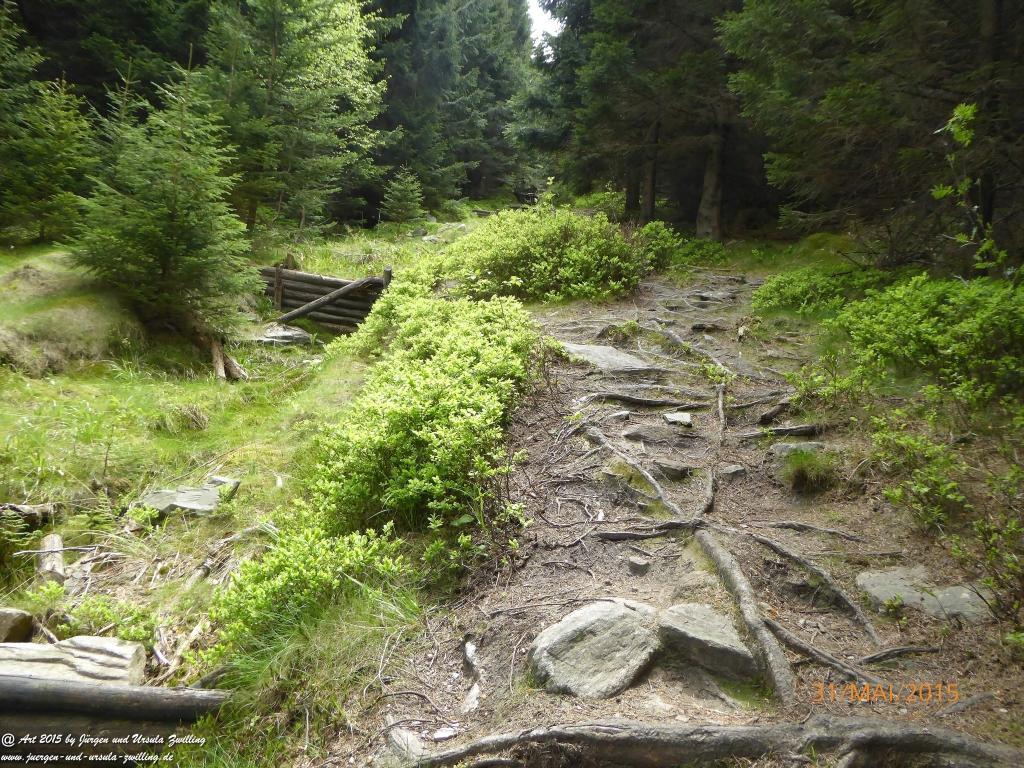 Philosophische Bildwanderung Kowary - Skalny Stół - Karkonosze - Krakonoše – Polen - Tschechien -(Schmiedeberg - Tafelstein - Riesengebirge)