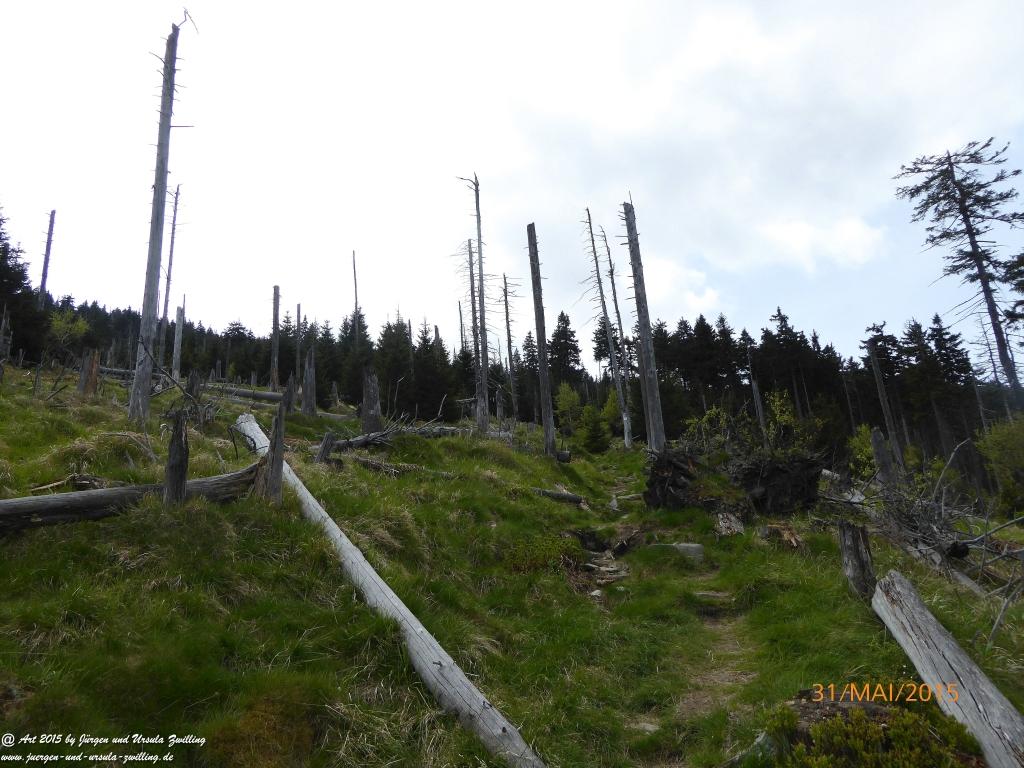 Philosophische Bildwanderung Kowary - Skalny Stół - Karkonosze - Krakonoše – Polen - Tschechien -(Schmiedeberg - Tafelstein - Riesengebirge)
