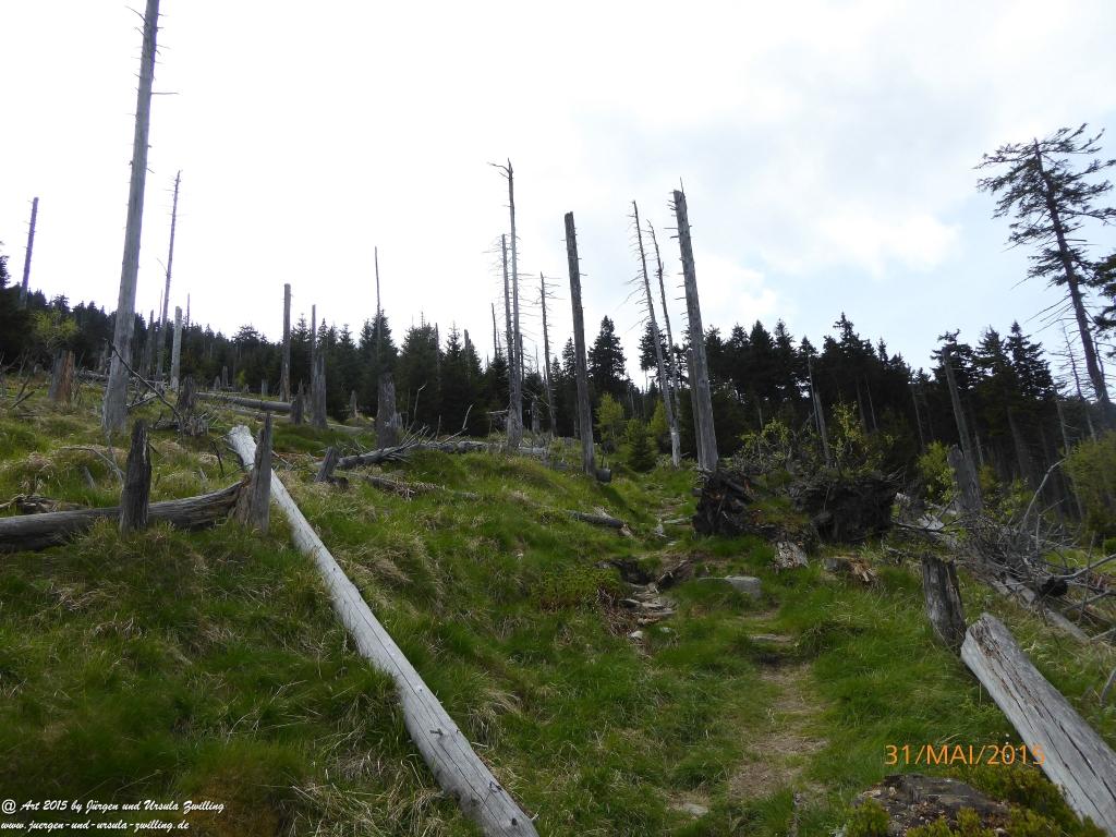 Philosophische Bildwanderung Kowary - Skalny Stół - Karkonosze - Krakonoše – Polen - Tschechien -(Schmiedeberg - Tafelstein - Riesengebirge)