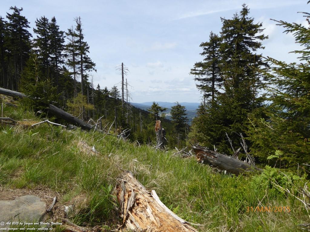Philosophische Bildwanderung Kowary - Skalny Stół - Karkonosze - Krakonoše – Polen - Tschechien -(Schmiedeberg - Tafelstein - Riesengebirge)
