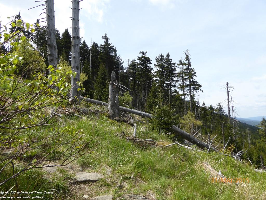 Philosophische Bildwanderung Kowary - Skalny Stół - Karkonosze - Krakonoše – Polen - Tschechien -(Schmiedeberg - Tafelstein - Riesengebirge)