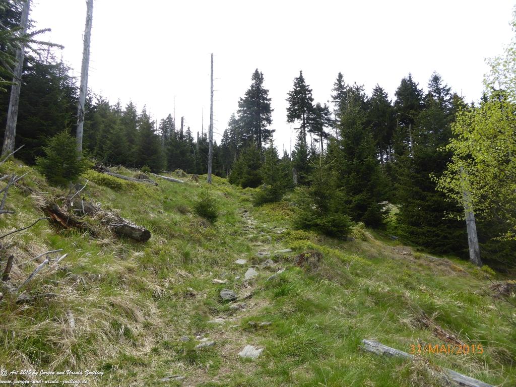 Philosophische Bildwanderung Kowary - Skalny Stół - Karkonosze - Krakonoše – Polen - Tschechien -(Schmiedeberg - Tafelstein - Riesengebirge)
