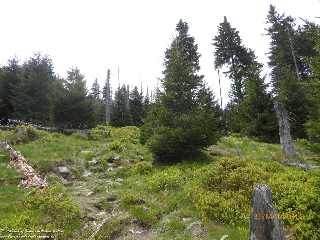Philosophische Bildwanderung Kowary - Skalny Stół - Karkonosze - Krakonoše – Polen - Tschechien -(Schmiedeberg - Tafelstein - Riesengebirge)