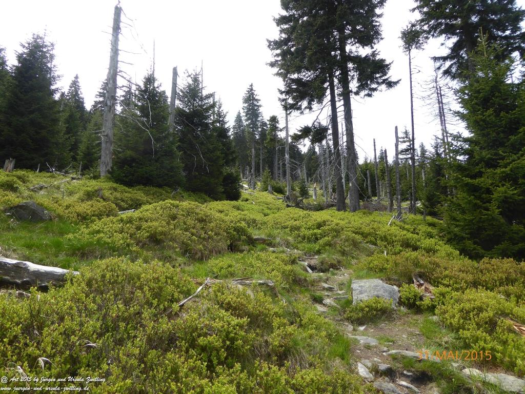Philosophische Bildwanderung Kowary - Skalny Stół - Karkonosze - Krakonoše – Polen - Tschechien -(Schmiedeberg - Tafelstein - Riesengebirge)