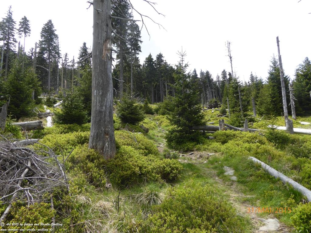 Philosophische Bildwanderung Kowary - Skalny Stół - Karkonosze - Krakonoše – Polen - Tschechien -(Schmiedeberg - Tafelstein - Riesengebirge)