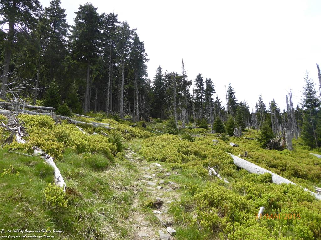 Philosophische Bildwanderung Kowary - Skalny Stół - Karkonosze - Krakonoše – Polen - Tschechien -(Schmiedeberg - Tafelstein - Riesengebirge)