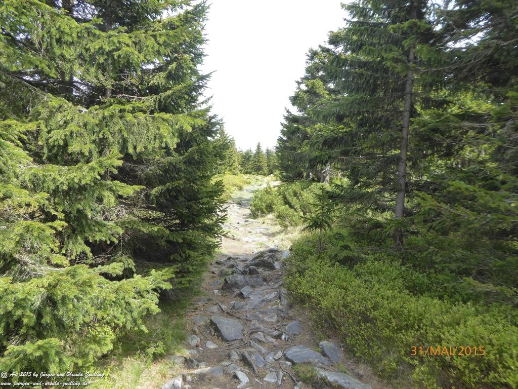 Philosophische Bildwanderung Kowary - Skalny Stół - Karkonosze - Krakonoše – Polen - Tschechien -(Schmiedeberg - Tafelstein - Riesengebirge)