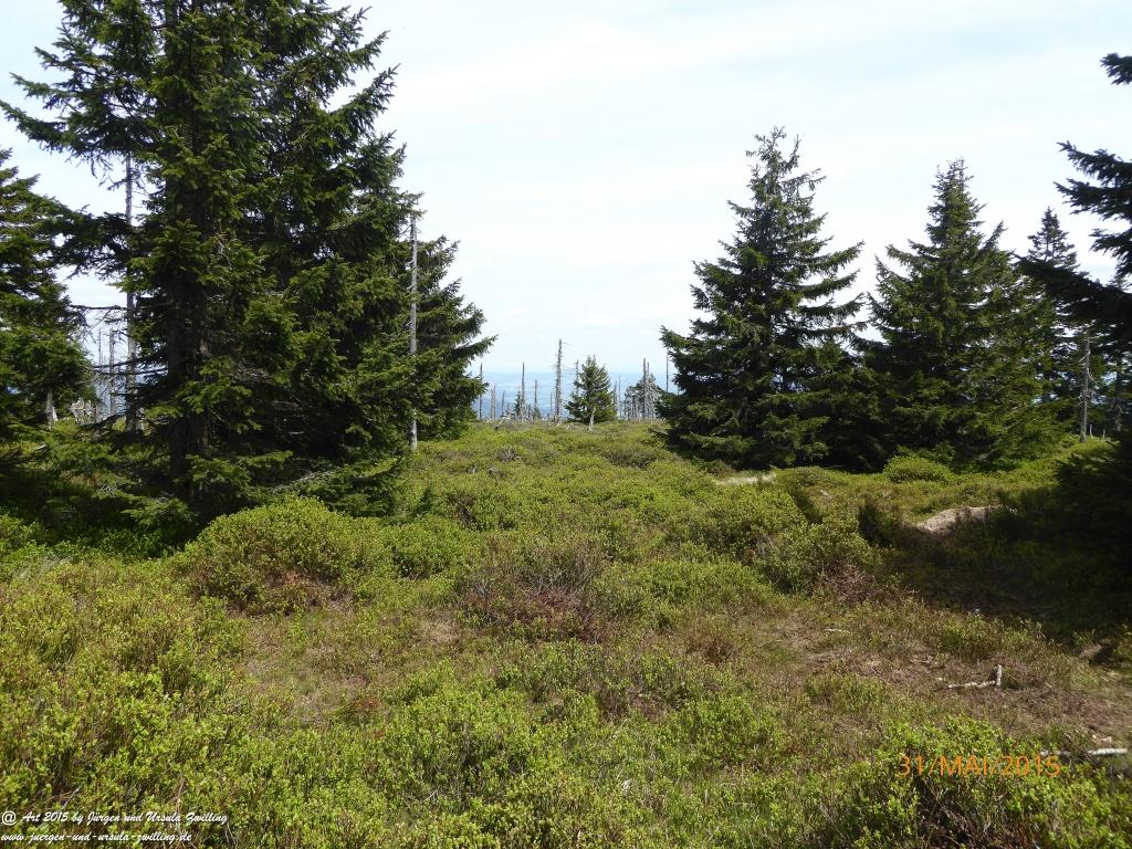 Philosophische Bildwanderung Kowary - Skalny Stół - Karkonosze - Krakonoše – Polen - Tschechien -(Schmiedeberg - Tafelstein - Riesengebirge)