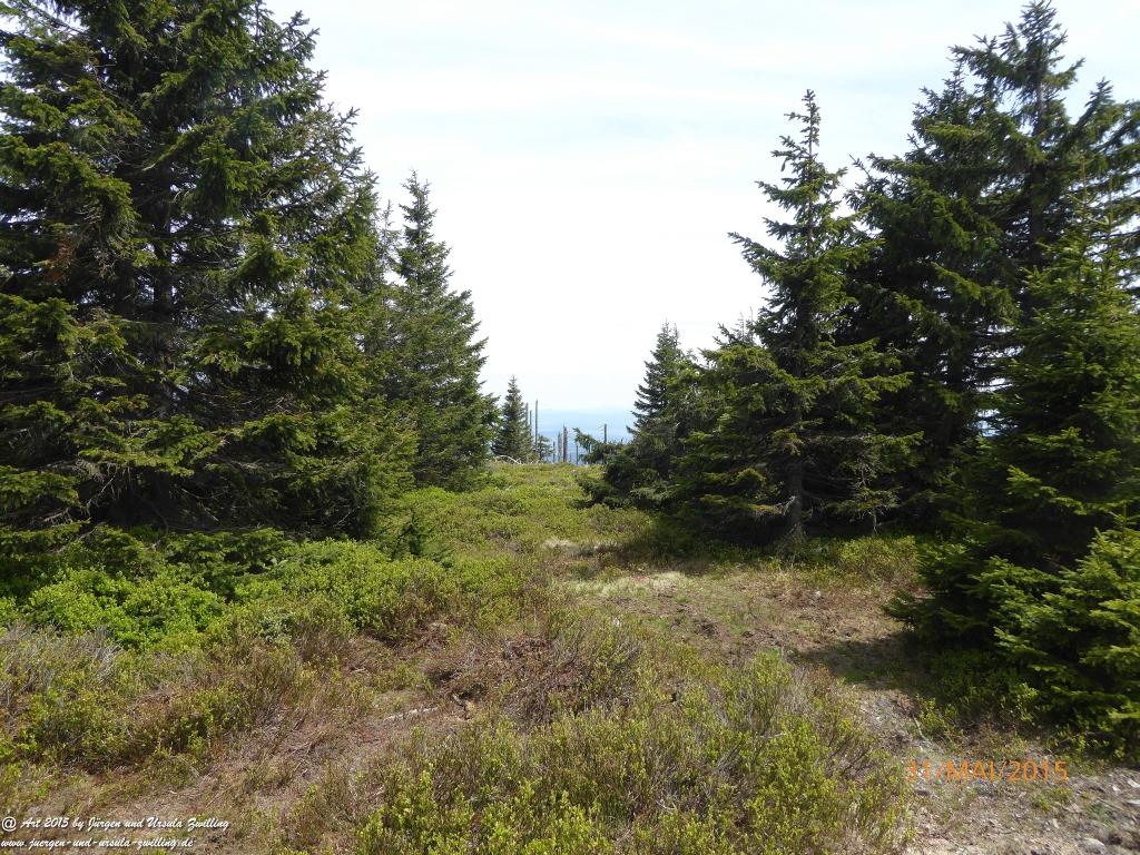 Philosophische Bildwanderung Kowary - Skalny Stół - Karkonosze - Krakonoše – Polen - Tschechien -(Schmiedeberg - Tafelstein - Riesengebirge)