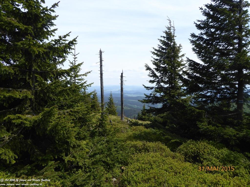 Philosophische Bildwanderung Kowary - Skalny Stół - Karkonosze - Krakonoše – Polen - Tschechien -(Schmiedeberg - Tafelstein - Riesengebirge)