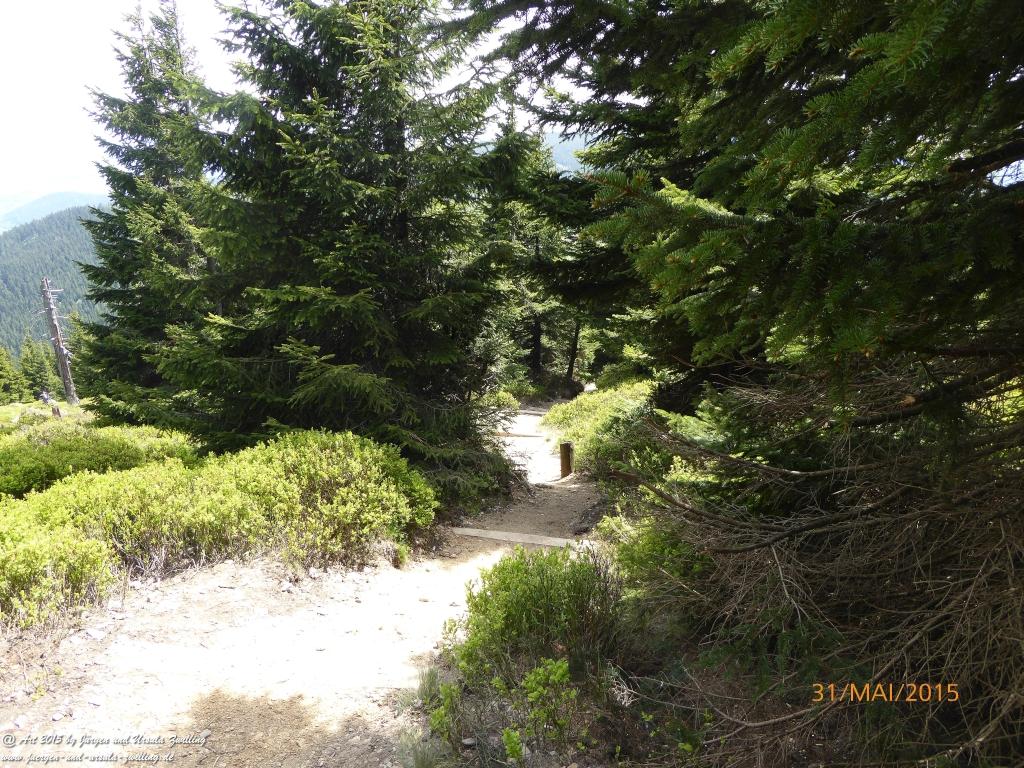 Philosophische Bildwanderung Kowary - Skalny Stół - Karkonosze - Krakonoše – Polen - Tschechien -(Schmiedeberg - Tafelstein - Riesengebirge)