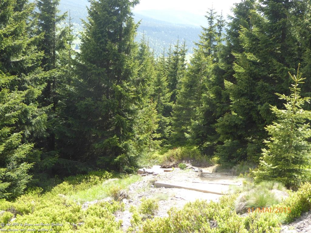 Philosophische Bildwanderung Kowary - Skalny Stół - Karkonosze - Krakonoše – Polen - Tschechien -(Schmiedeberg - Tafelstein - Riesengebirge)