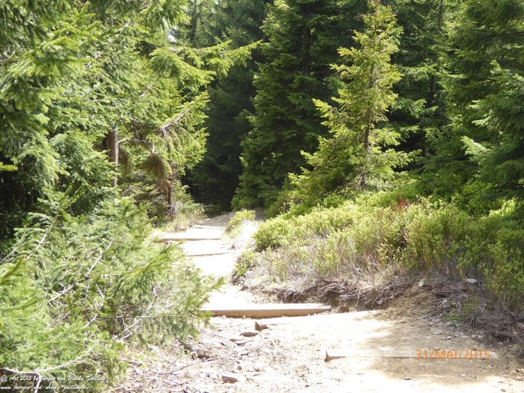 Philosophische Bildwanderung Kowary - Skalny Stół - Karkonosze - Krakonoše – Polen - Tschechien -(Schmiedeberg - Tafelstein - Riesengebirge)