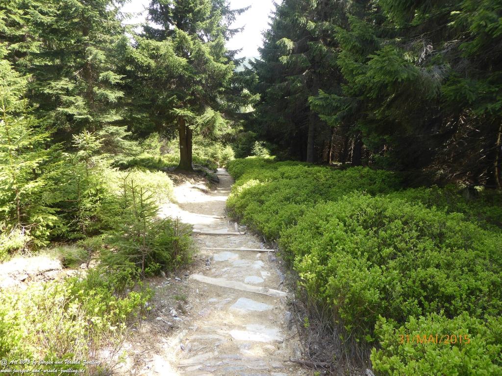 Philosophische Bildwanderung Kowary - Skalny Stół - Karkonosze - Krakonoše – Polen - Tschechien -(Schmiedeberg - Tafelstein - Riesengebirge)