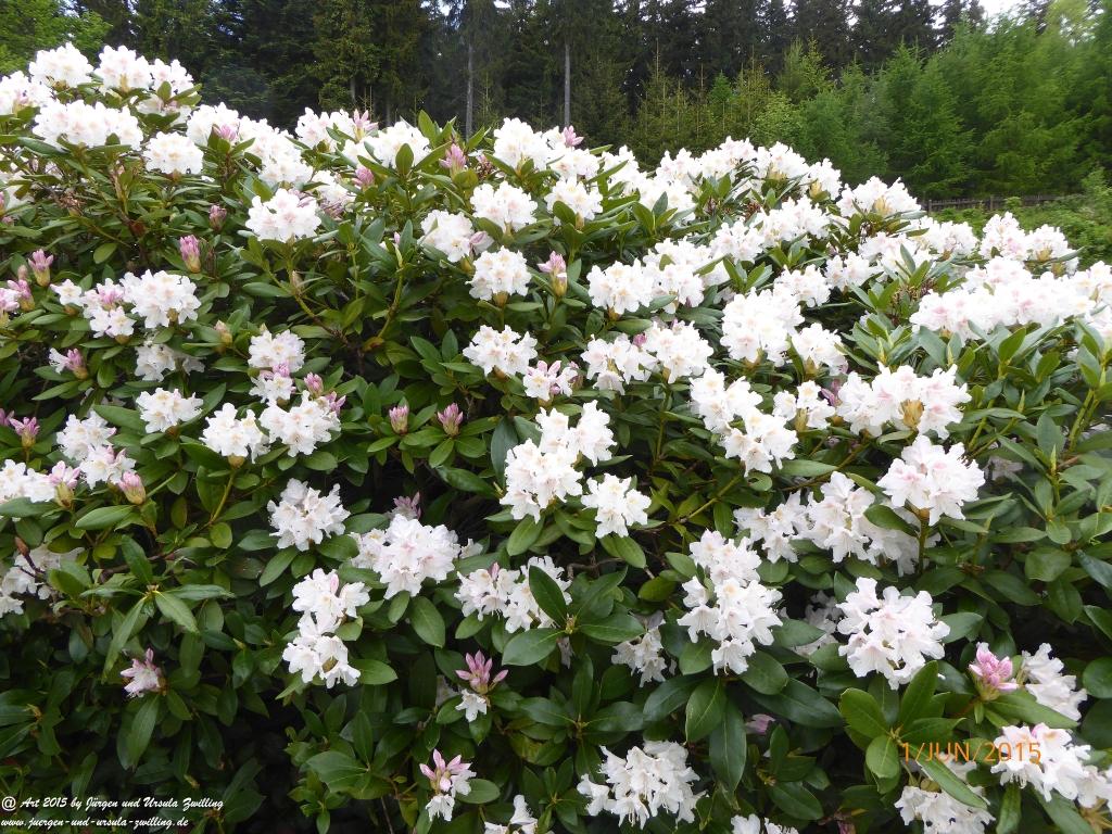 Philosophische Bildwanderung - Karpacz - Kościół Wang - Polana - Schronisko Strzecha Akademicka – Karkonosze - Polen -(Krummhübel – Kirche Wang - ehemalige Schlingelbaude - Hampelbaude - Riesengebirge)