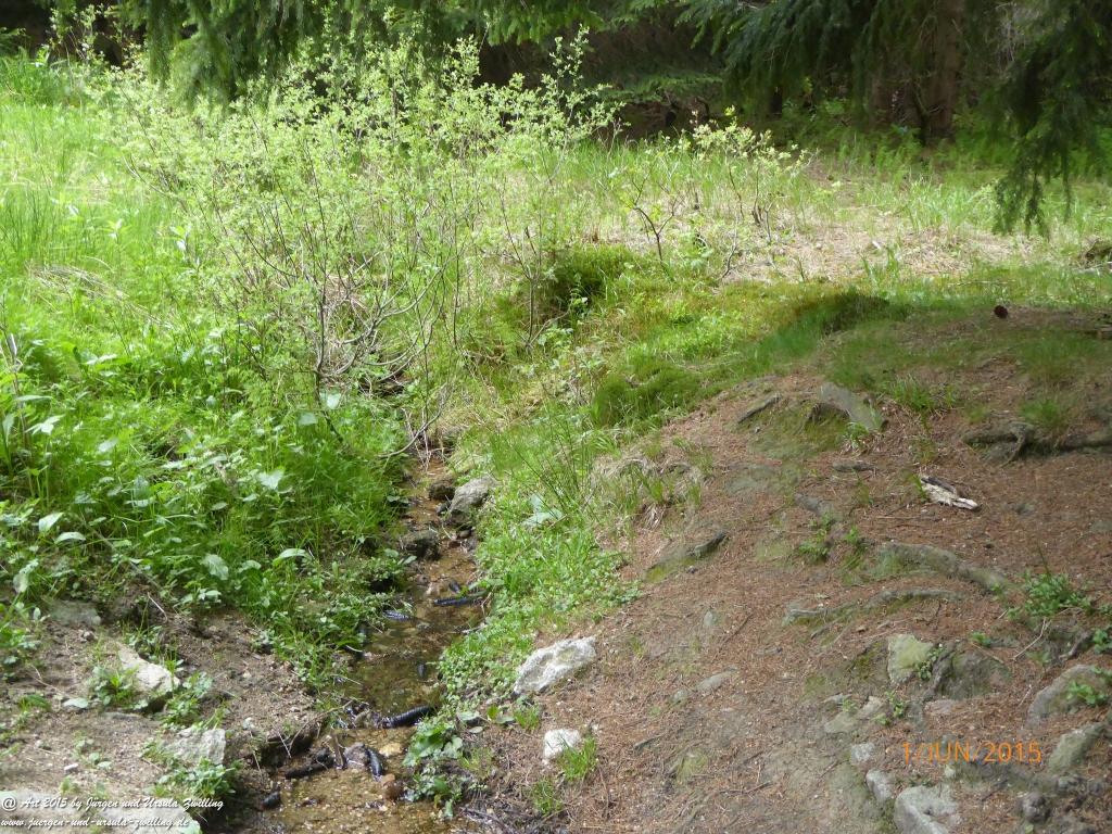 Philosophische Bildwanderung - Karpacz - Kościół Wang - Polana - Schronisko Strzecha Akademicka – Karkonosze - Polen -(Krummhübel – Kirche Wang - ehemalige Schlingelbaude - Hampelbaude - Riesengebirge)