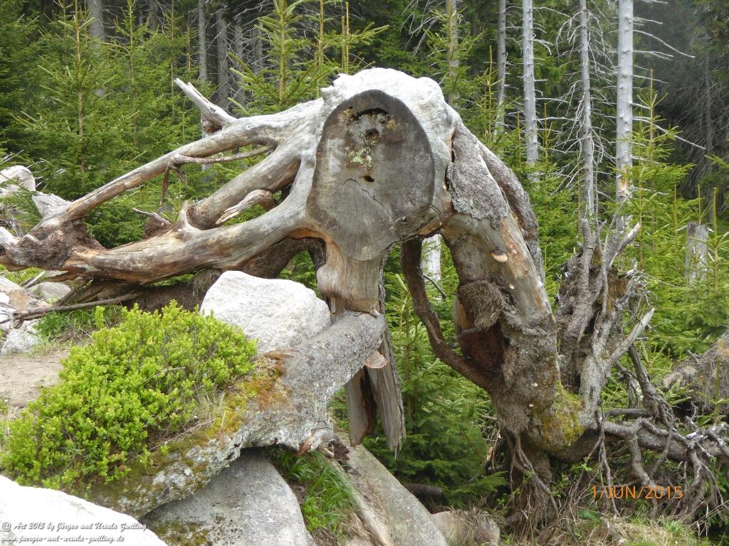 Philosophische Bildwanderung - Karpacz - Kościół Wang - Polana - Schronisko Strzecha Akademicka – Karkonosze - Polen -(Krummhübel – Kirche Wang - ehemalige Schlingelbaude - Hampelbaude - Riesengebirge)