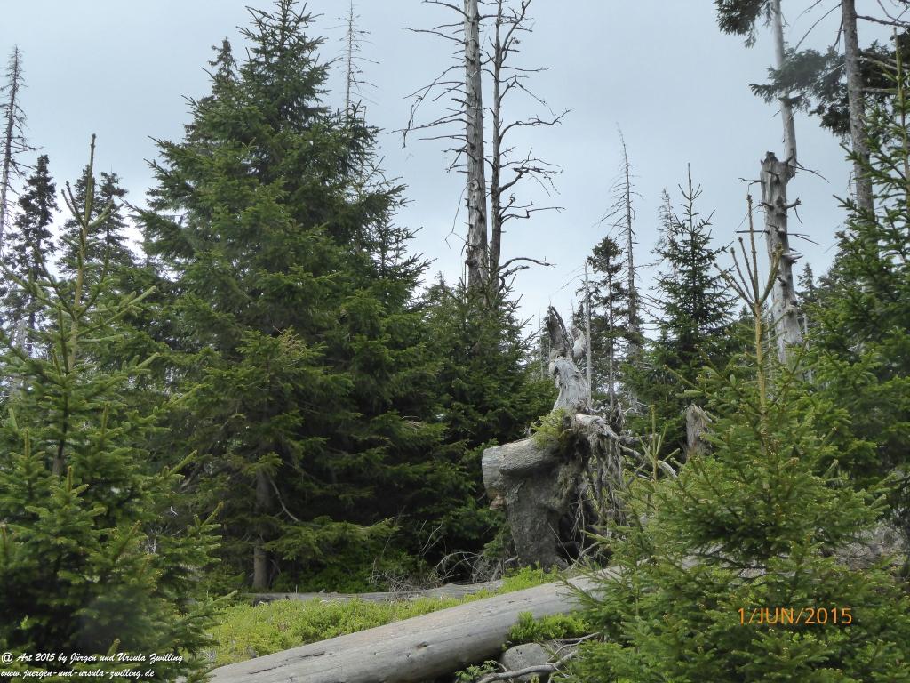 Philosophische Bildwanderung - Karpacz - Kościół Wang - Polana - Schronisko Strzecha Akademicka – Karkonosze - Polen -(Krummhübel – Kirche Wang - ehemalige Schlingelbaude - Hampelbaude - Riesengebirge)