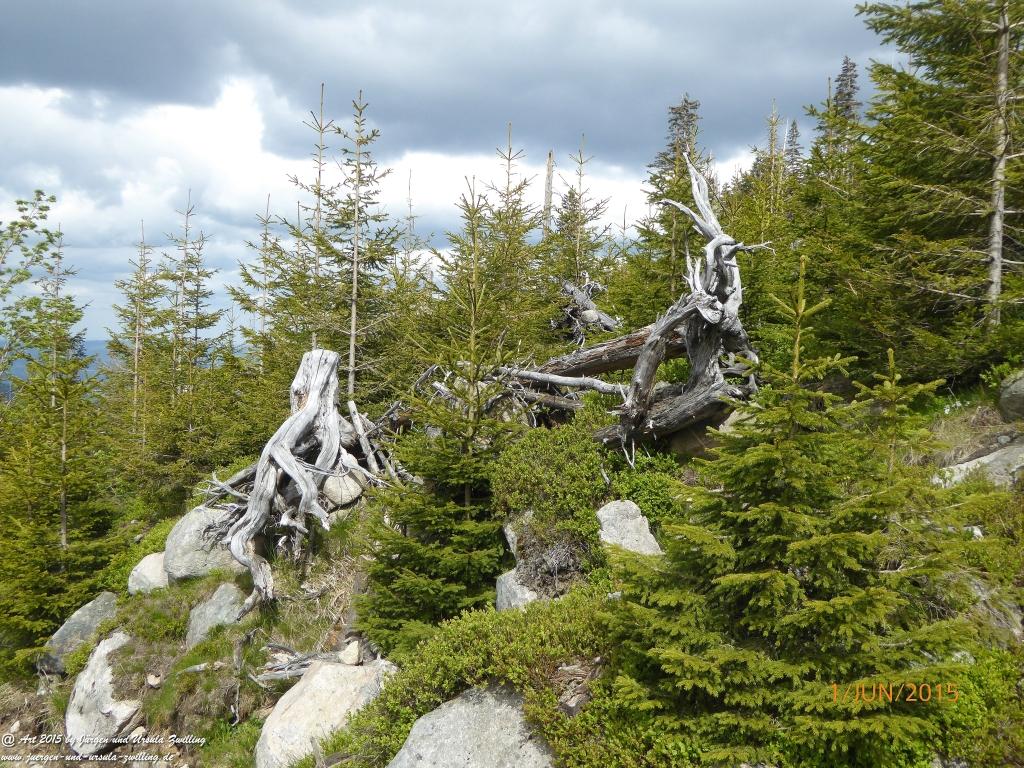 Philosophische Bildwanderung - Karpacz - Kościół Wang - Polana - Schronisko Strzecha Akademicka – Karkonosze - Polen -(Krummhübel – Kirche Wang - ehemalige Schlingelbaude - Hampelbaude - Riesengebirge)