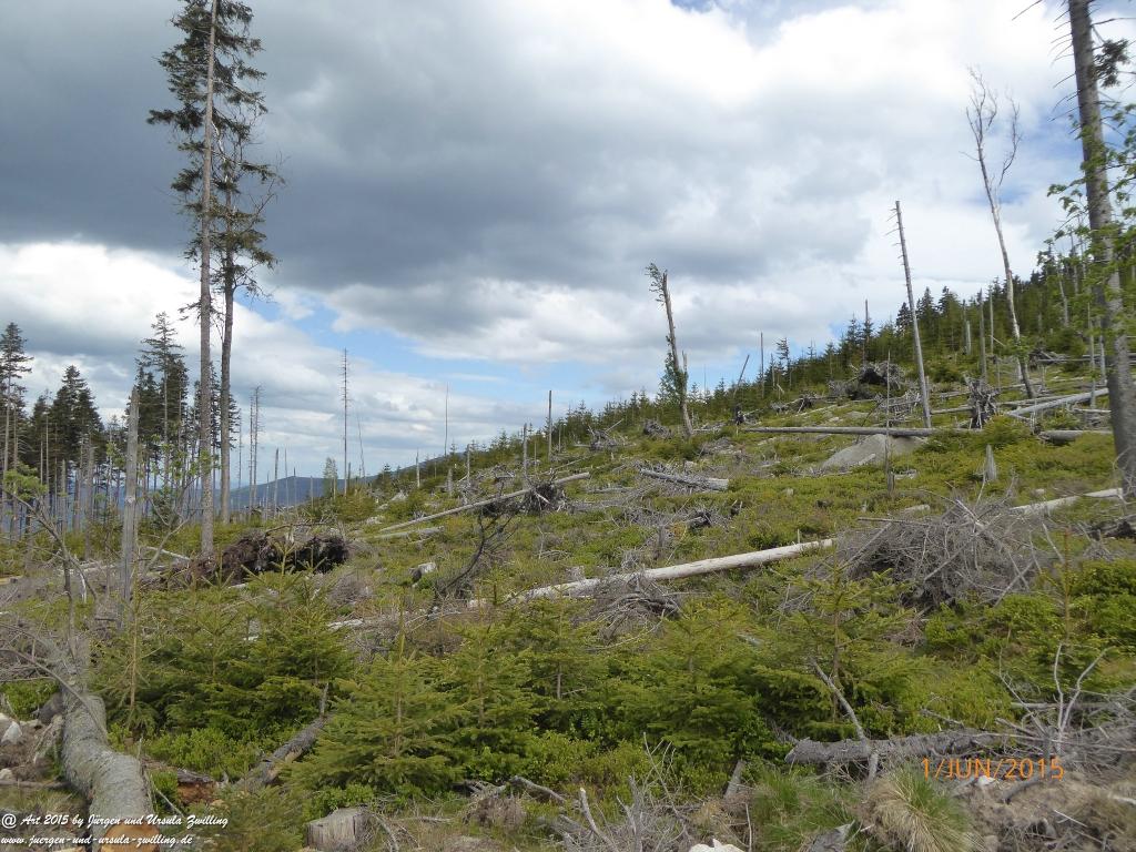 Philosophische Bildwanderung - Karpacz - Kościół Wang - Polana - Schronisko Strzecha Akademicka – Karkonosze - Polen -(Krummhübel – Kirche Wang - ehemalige Schlingelbaude - Hampelbaude - Riesengebirge)