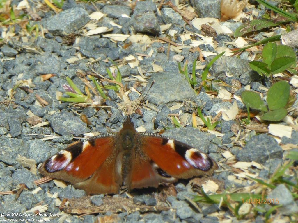 Philosophische Bildwanderung - Karpacz - Kościół Wang - Polana - Schronisko Strzecha Akademicka – Karkonosze - Polen -(Krummhübel – Kirche Wang - ehemalige Schlingelbaude - Hampelbaude - Riesengebirge)