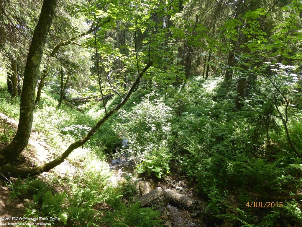 Philosophische Bildwanderung Zum-Hoechsten- Feldberg - Schwarzwald