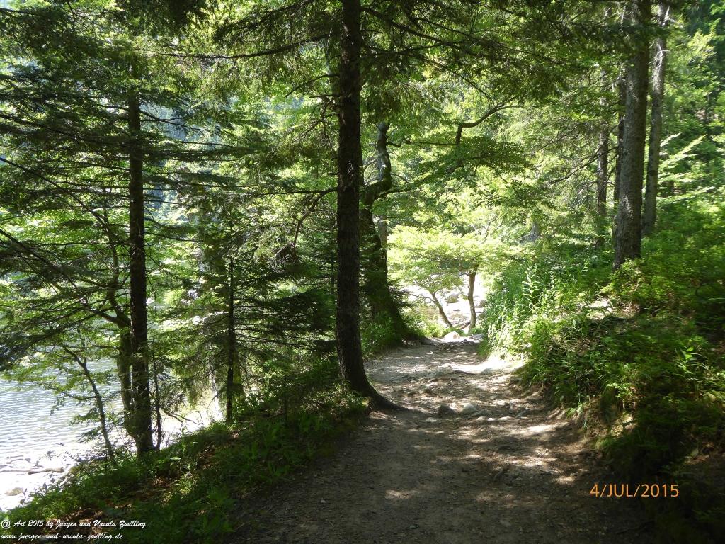 Philosophische Bildwanderung Zum-Hoechsten- Feldberg - Schwarzwald