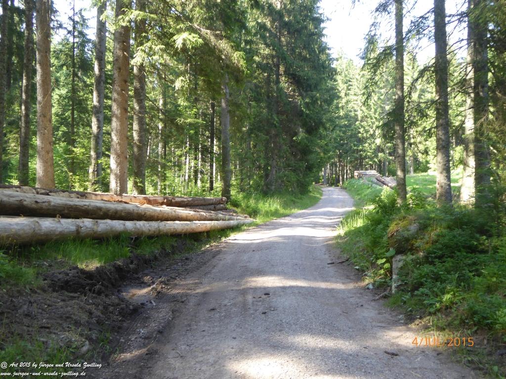 Philosophische Bildwanderung Zum-Hoechsten- Feldberg - Schwarzwald