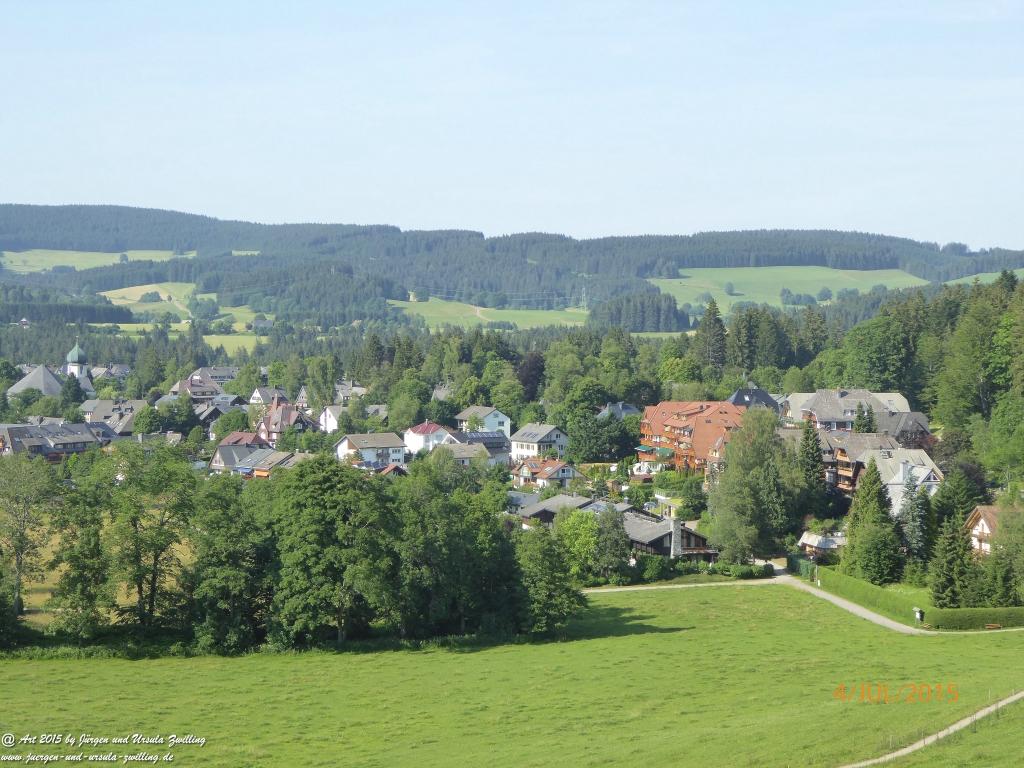 Philosophische Bildwanderung Zum-Hoechsten- Feldberg - Schwarzwald