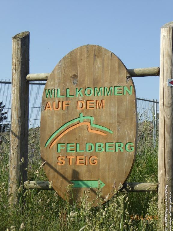Philosophische Bildwanderung Premiumwanderweg-Feldberg-Steig-Schwarzwald