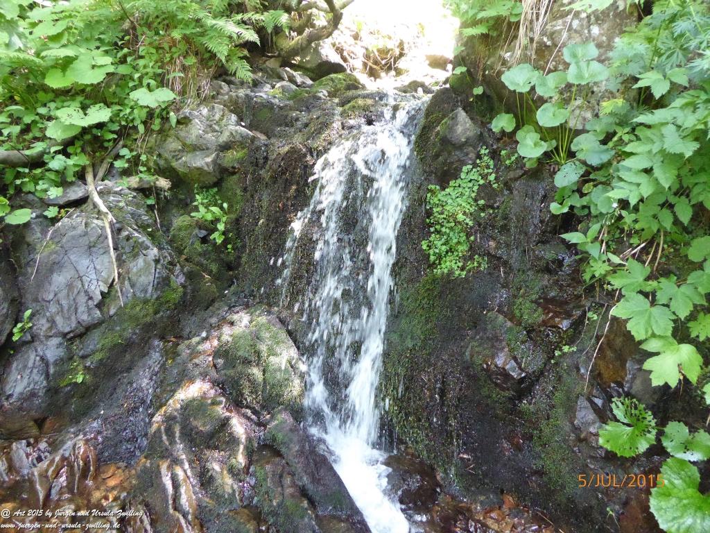 Philosophische Bildwanderung Premiumwanderweg-Feldberg-Steig-Schwarzwald