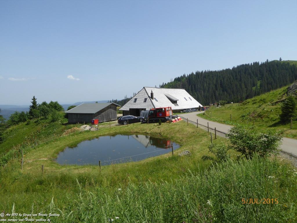 Philosophische Bildwanderung Premiumwanderweg-Feldberg-Steig-Schwarzwald