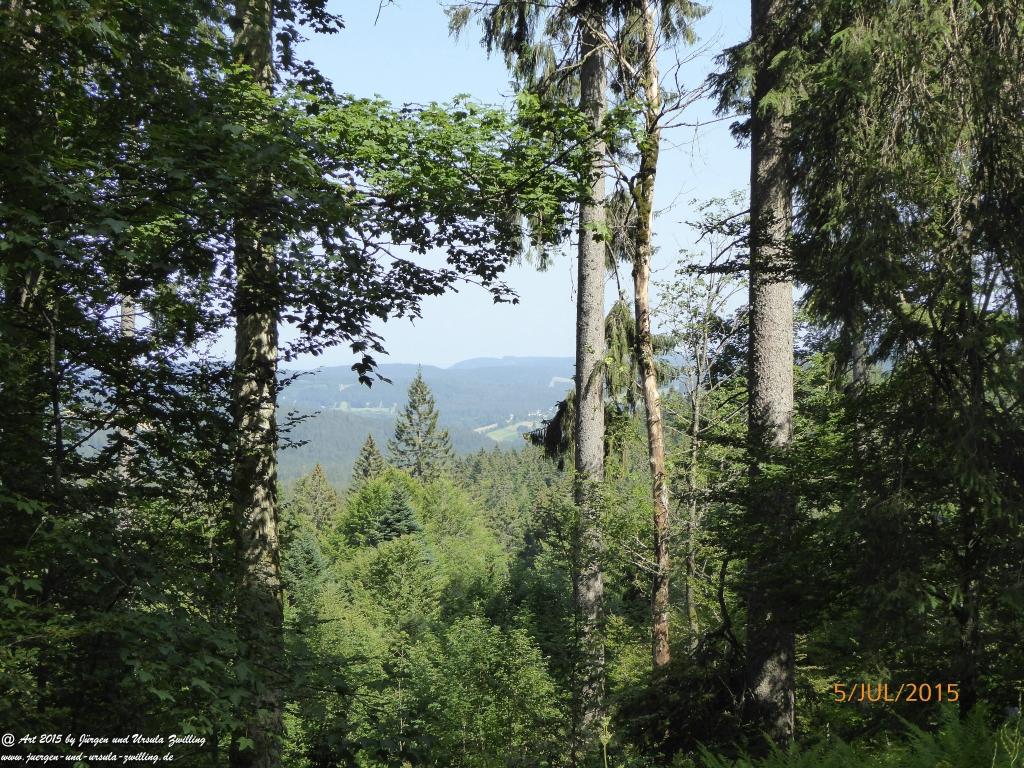 Philosophische Bildwanderung Premiumwanderweg-Feldberg-Steig-Schwarzwald
