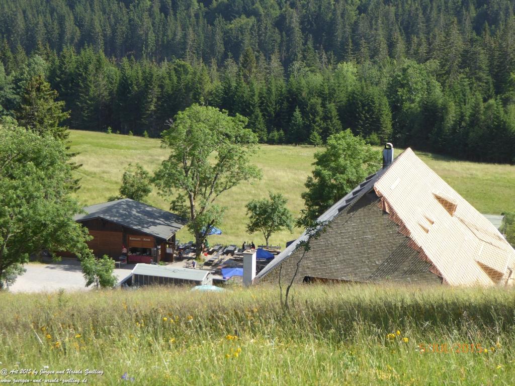 Philosophische Bildwanderung Premiumwanderweg-Feldberg-Steig-Schwarzwald