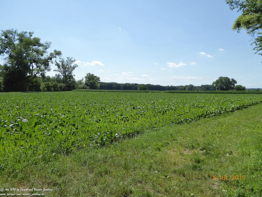 Philosophische Bildwanderung Hoerdt-Treidlerweg - Pfalz