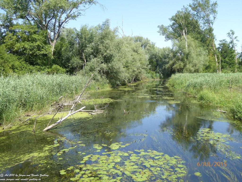 Philosophische Bildwanderung Hoerdt-Treidlerweg - Pfalz