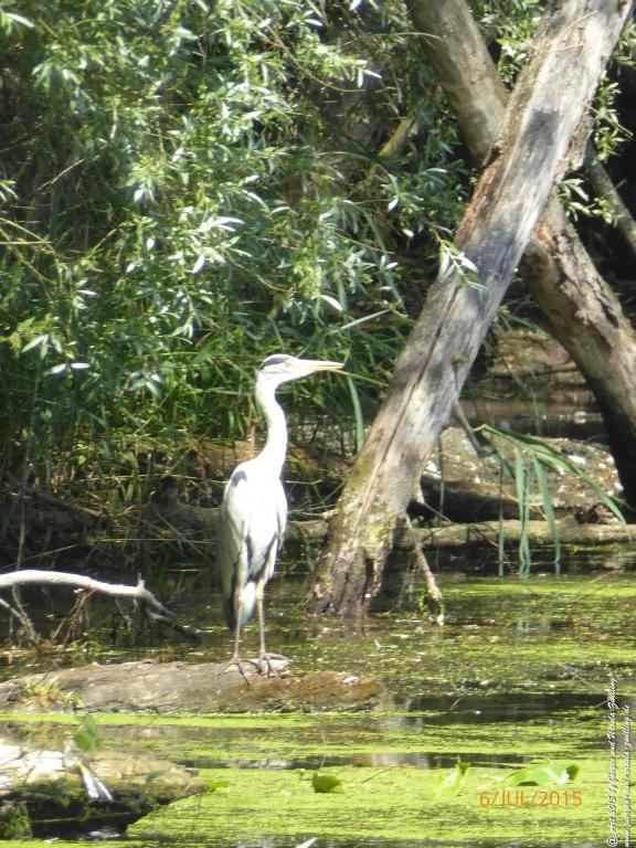 Philosophische Bildwanderung Hoerdt-Treidlerweg - Pfalz