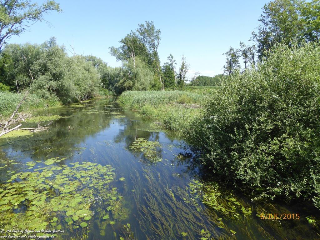 Philosophische Bildwanderung Hoerdt-Treidlerweg - Pfalz