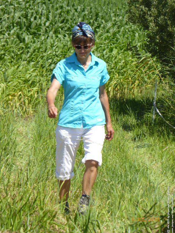 Philosophische Bildwanderung Hoerdt-Treidlerweg - Pfalz