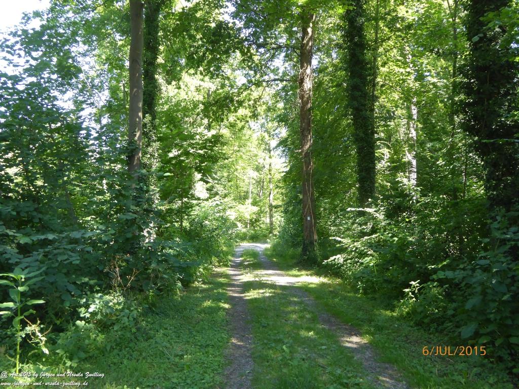Philosophische Bildwanderung Hoerdt-Treidlerweg - Pfalz