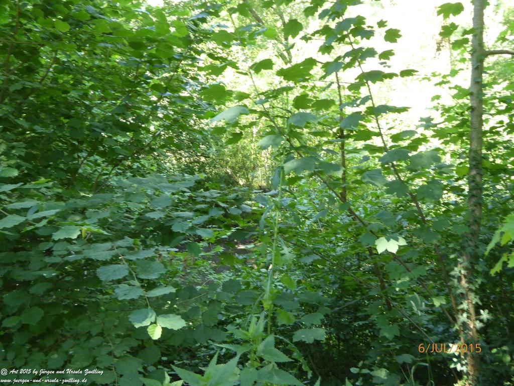 Philosophische Bildwanderung Hoerdt-Treidlerweg - Pfalz