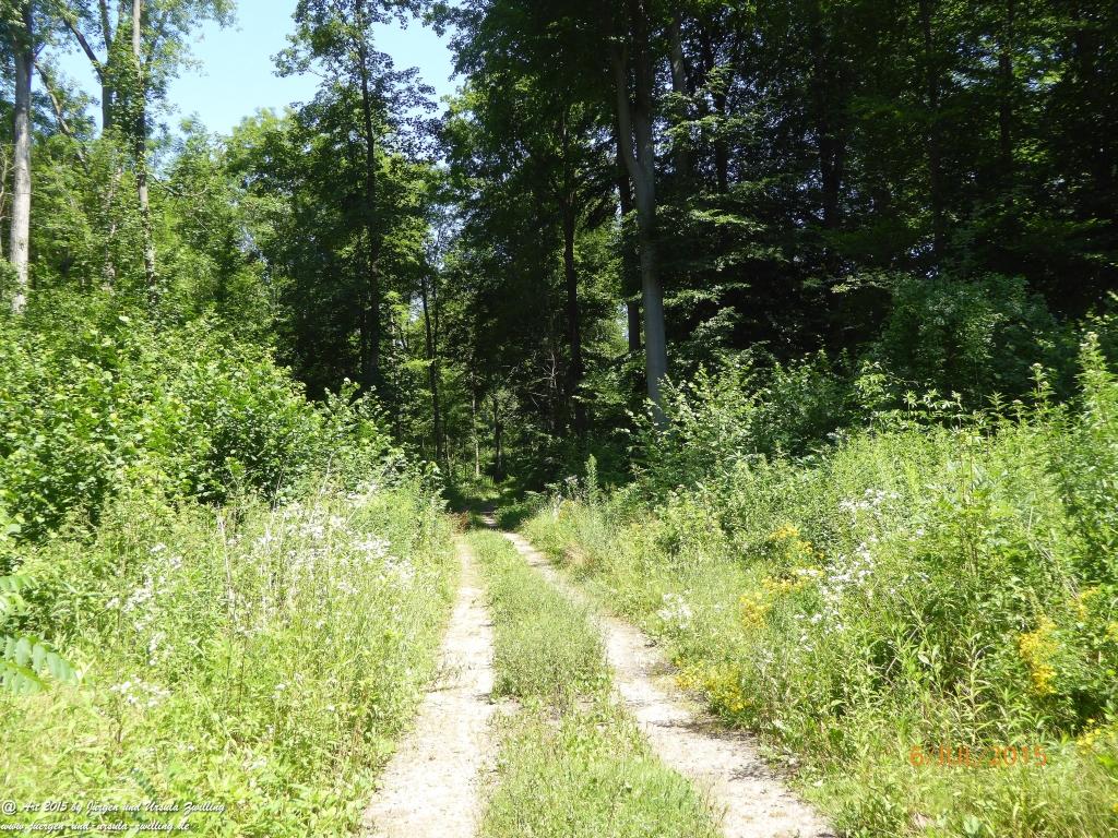 Philosophische Bildwanderung Hoerdt-Treidlerweg - Pfalz