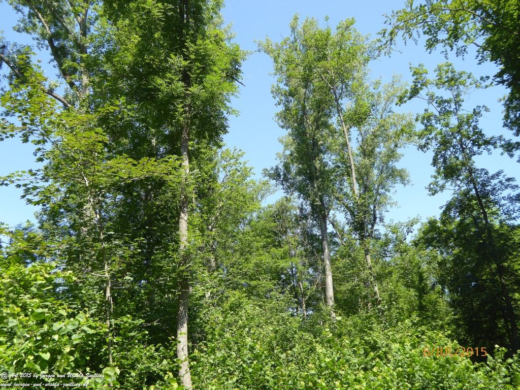 Philosophische Bildwanderung Hoerdt-Treidlerweg - Pfalz