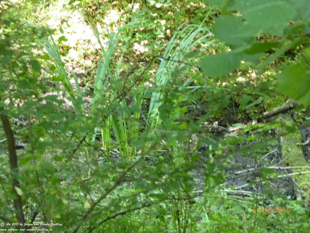 Philosophische Bildwanderung Hoerdt-Treidlerweg - Pfalz