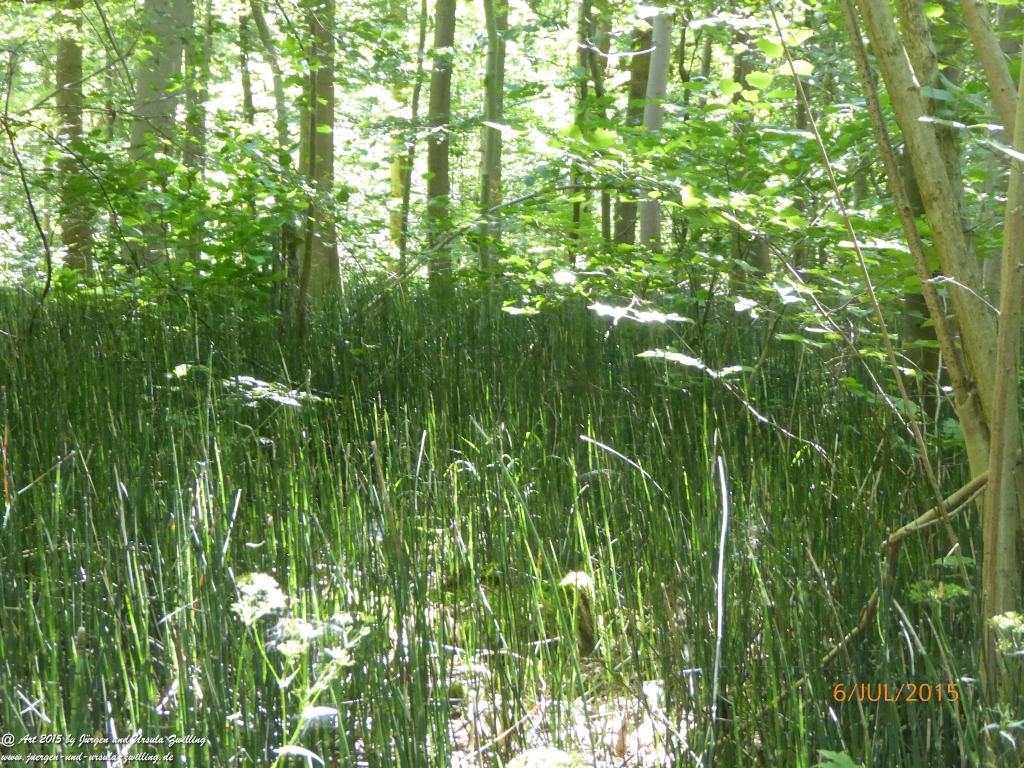Philosophische Bildwanderung Hoerdt-Treidlerweg - Pfalz