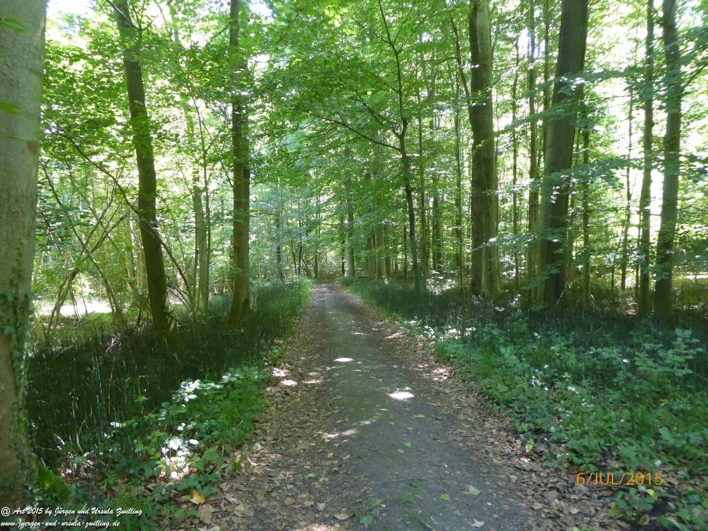 Philosophische Bildwanderung Hoerdt-Treidlerweg - Pfalz