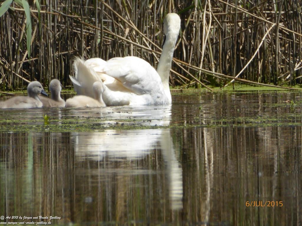 Philosophische Bildwanderung Hoerdt-Treidlerweg - Pfalz