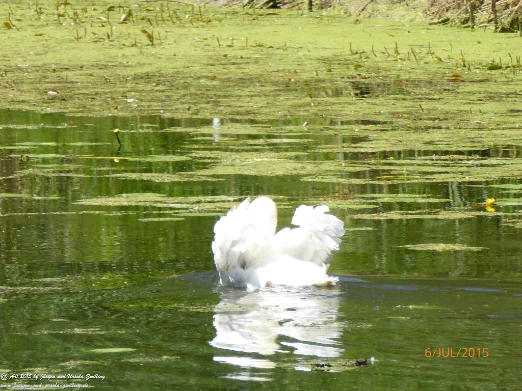 Philosophische Bildwanderung Hoerdt-Treidlerweg - Pfalz
