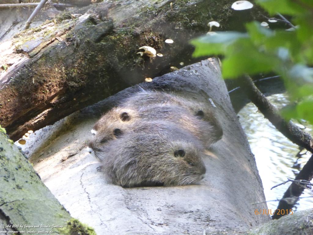 Philosophische Bildwanderung Hoerdt-Treidlerweg - Pfalz